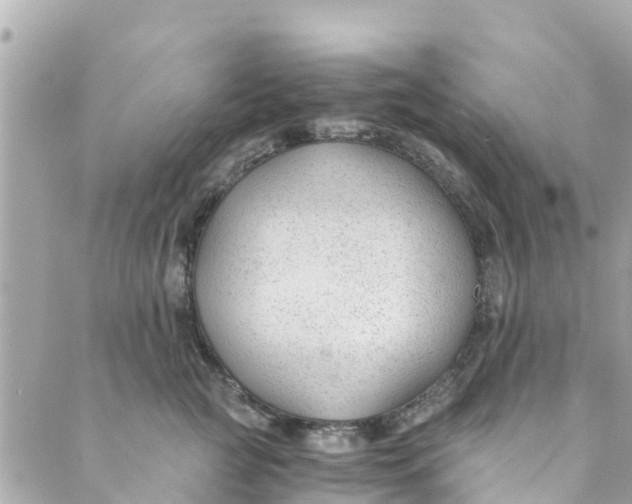 X0000088910761200706291529