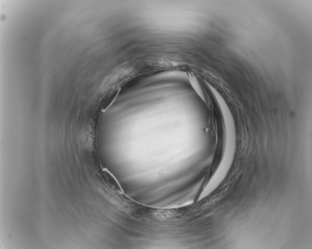 X0000088910762200706291529