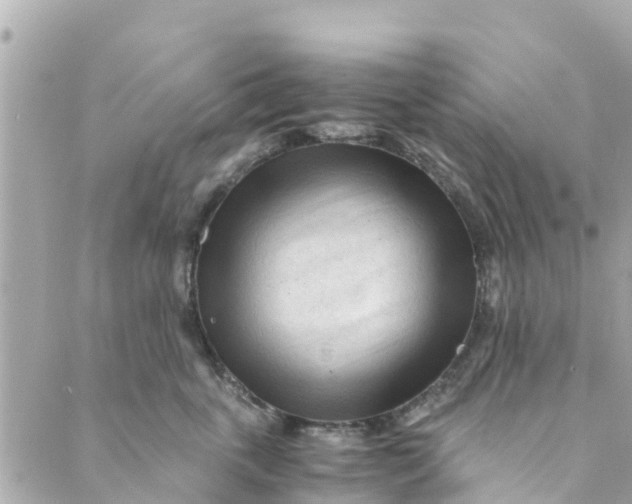 X0000088910763200706291529