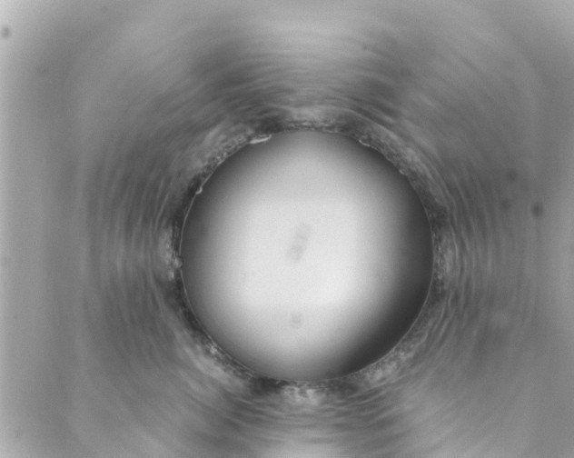 X0000088910764200706291529