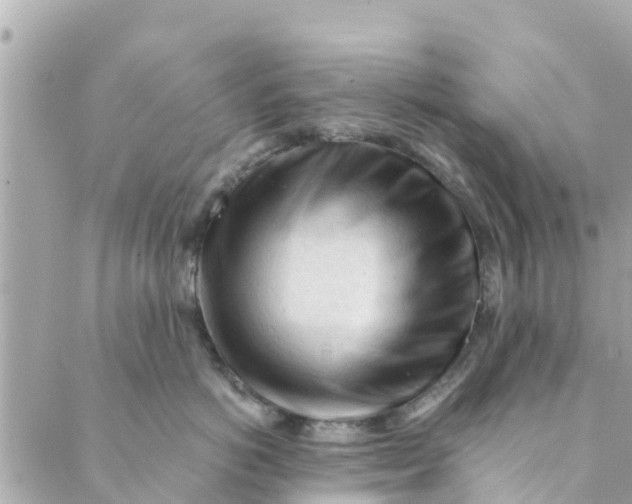 X0000088910766200706291529