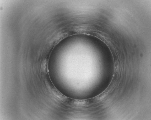 X0000088910767200706291529