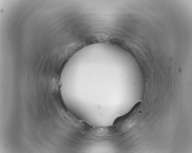 X0000088910768200706291529