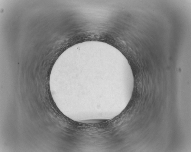 X0000088910769200706291528