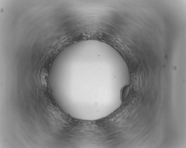 X0000088910770200706291528