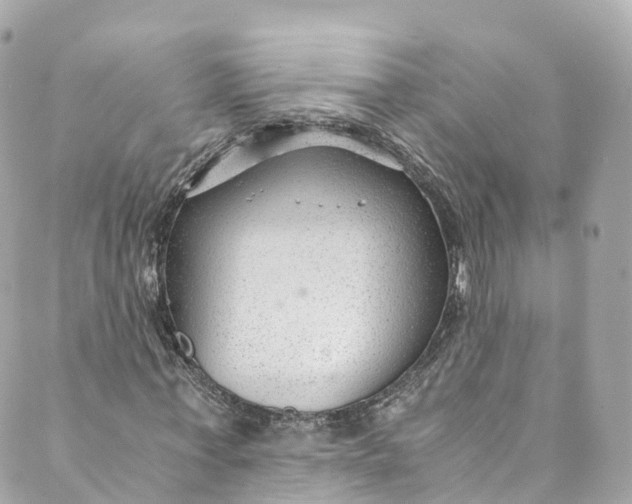 X0000088910771200706291528