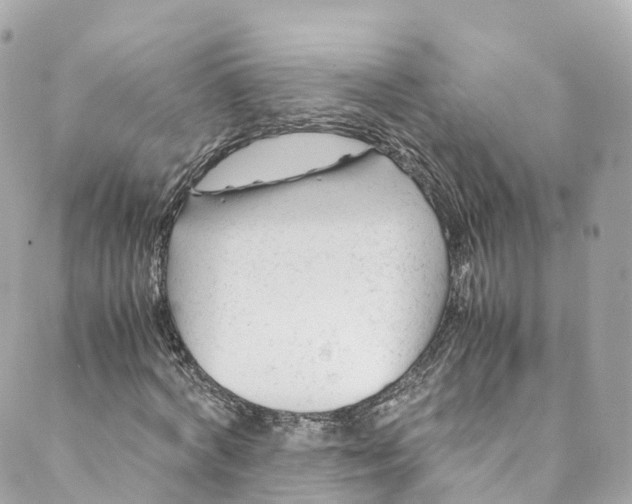 X0000088910772200706291528