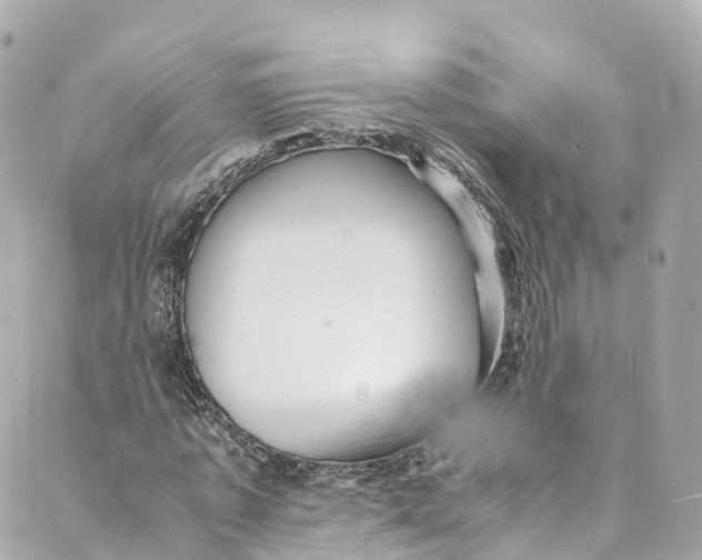 X0000088910773200706291528