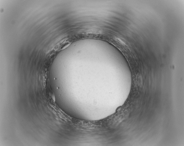 X0000088910774200706291528