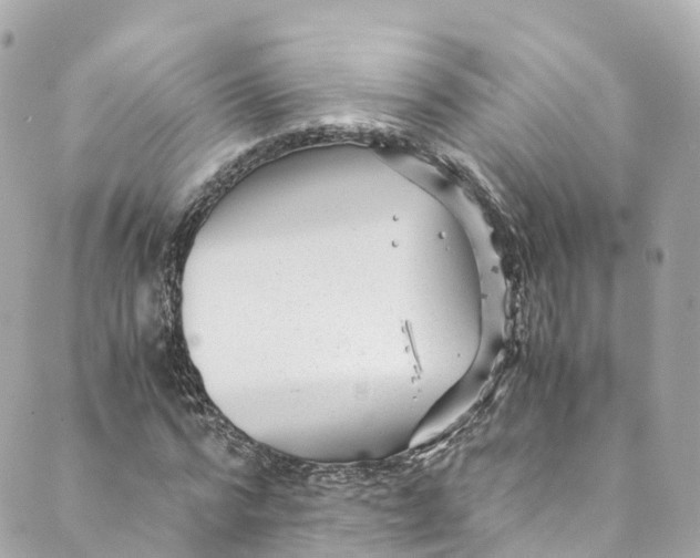 X0000088910776200706291528