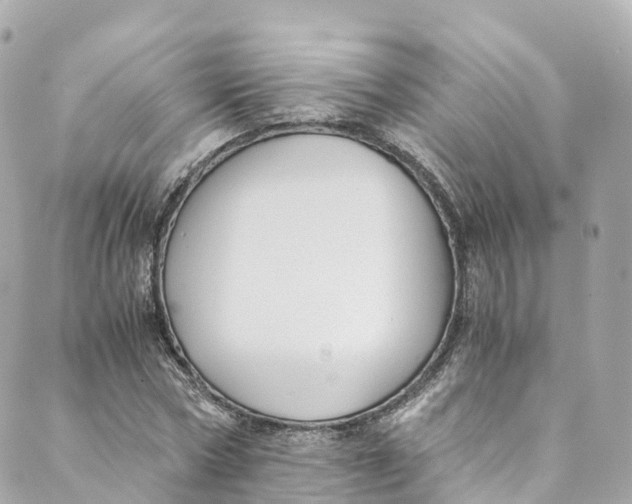 X0000088910778200706291528