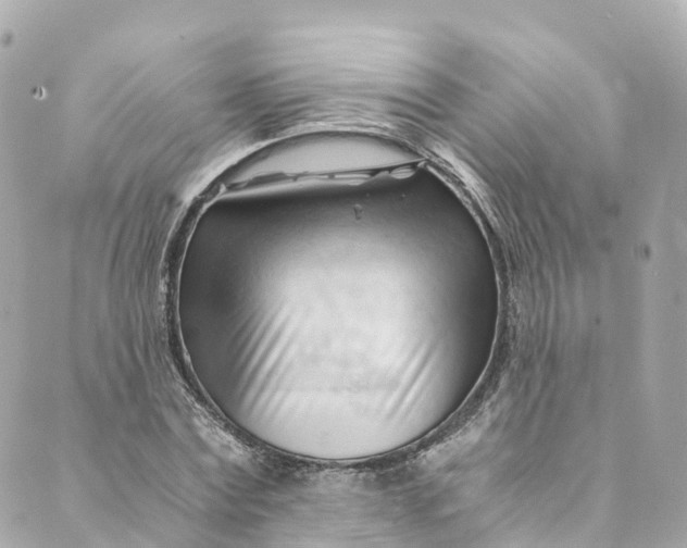 X0000088910779200706291528