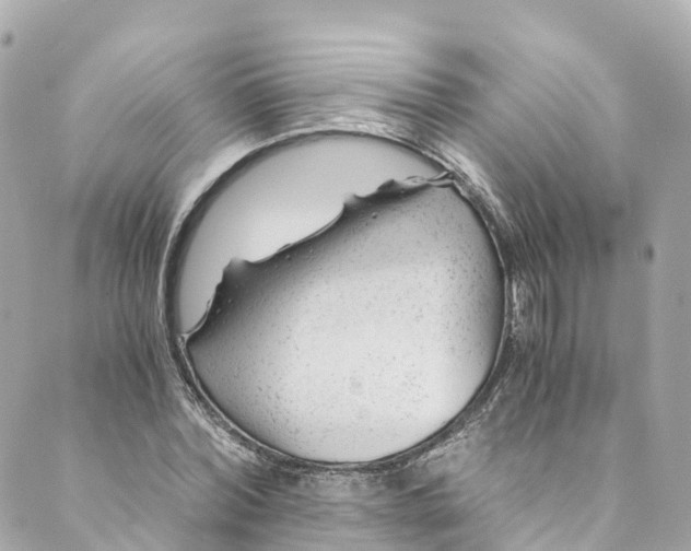 X0000088910780200706291528