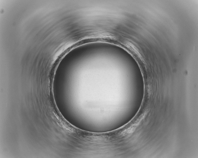 X0000088910781200706291528