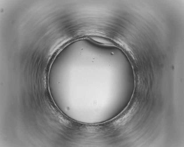 X0000088910782200706291528