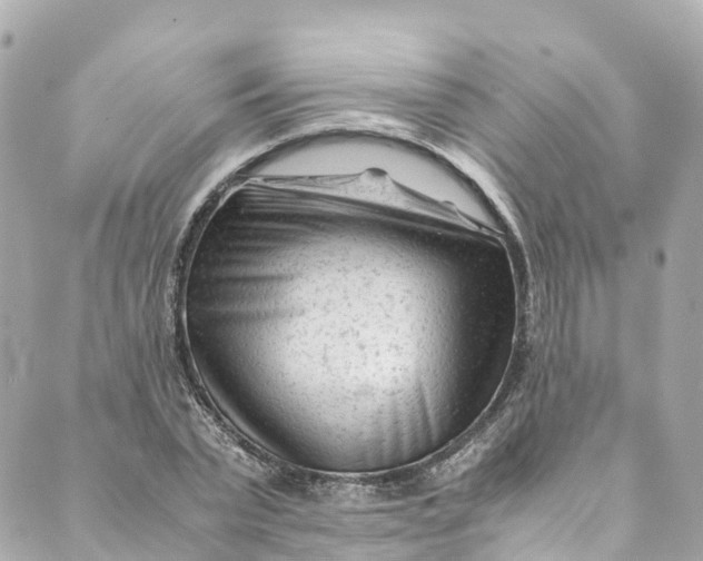 X0000088910783200706291528