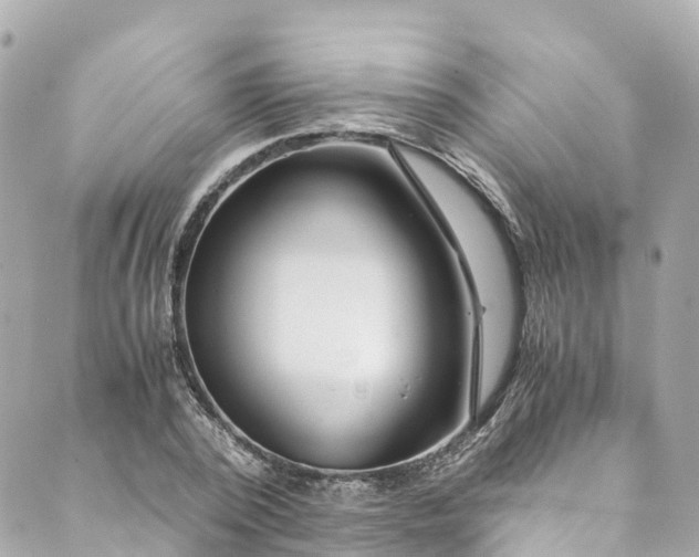 X0000088910784200706291528