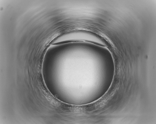 X0000088910785200706291528