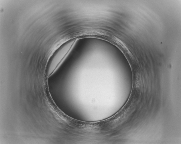 X0000088910786200706291528