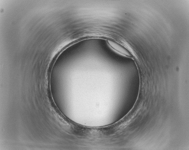 X0000088910787200706291528