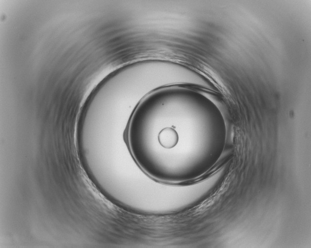 X0000088910788200706291528