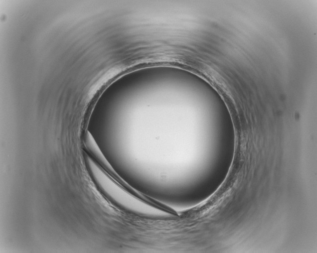 X0000088910789200706291528