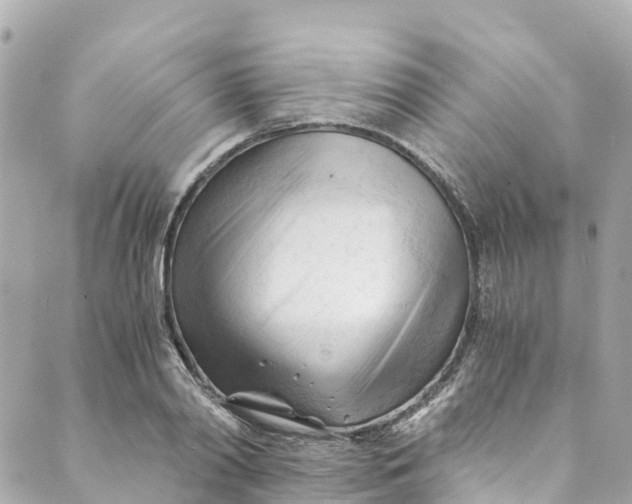 X0000088910790200706291528