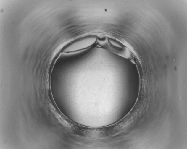 X0000088910791200706291528