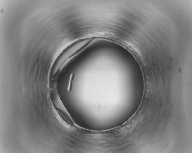 X0000088910792200706291528