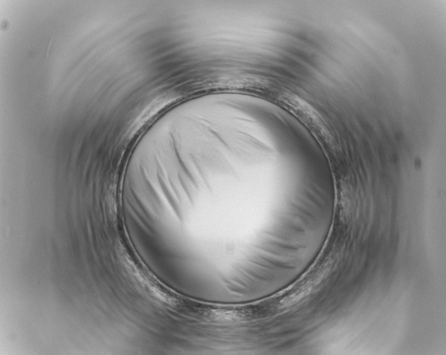 X0000088910794200706291528