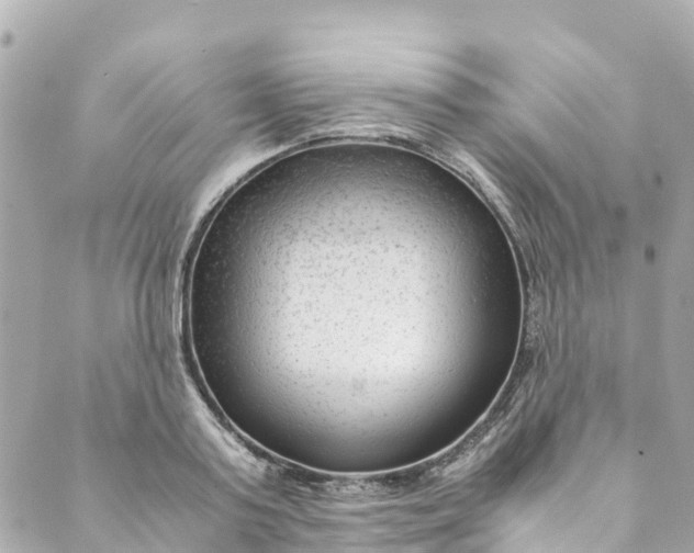 X0000088910795200706291528