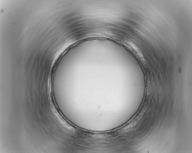 X0000088910796200706291528