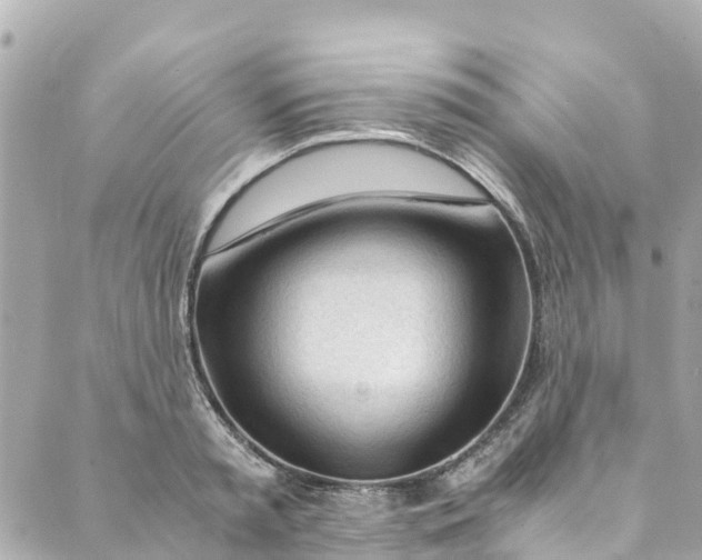 X0000088910797200706291528