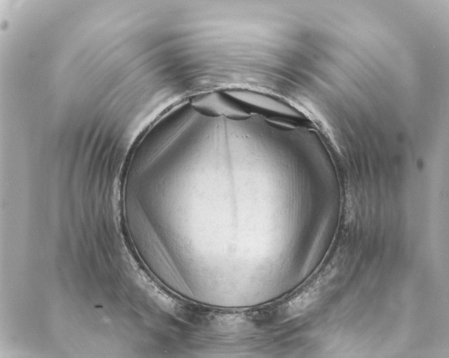 X0000088910798200706291528