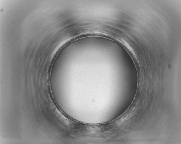 X0000088910799200706291528