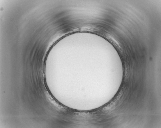 X0000088910800200706291528