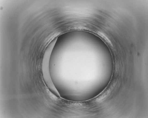 X0000088910801200706291528