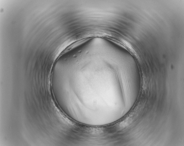 X0000088910802200706291528