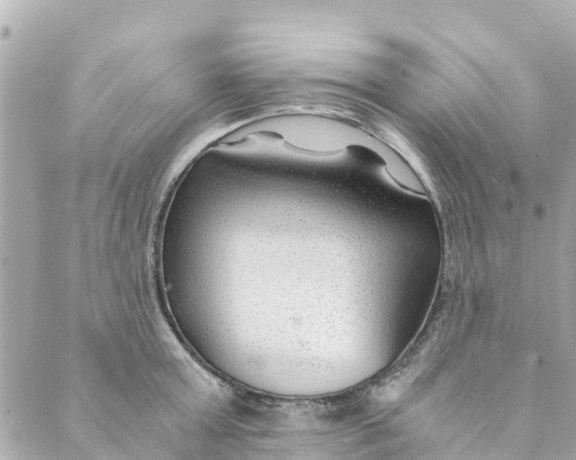 X0000088910803200706291528