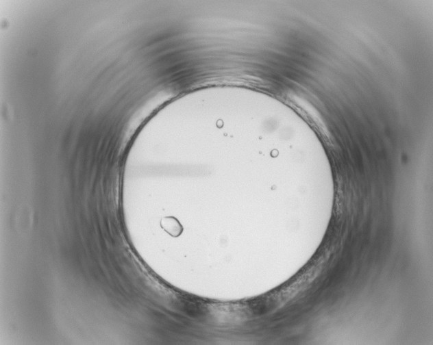 X0000088910804200706291528