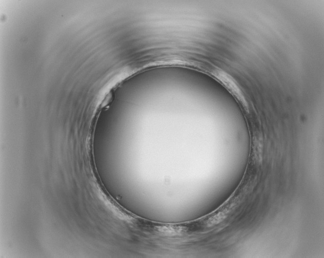 X0000088910805200706291528