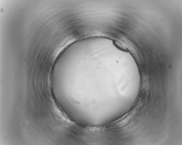 X0000088910806200706291528