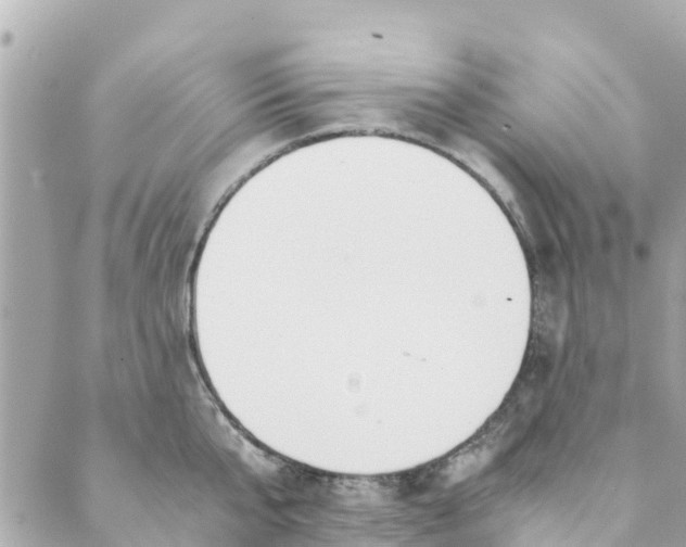 X0000088910807200706291528