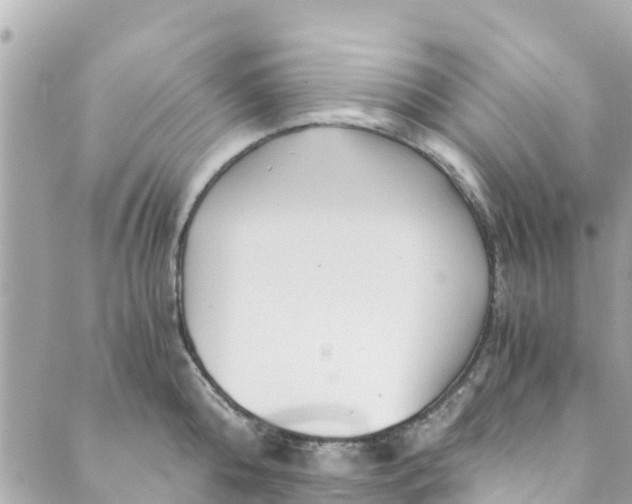 X0000088910808200706291528