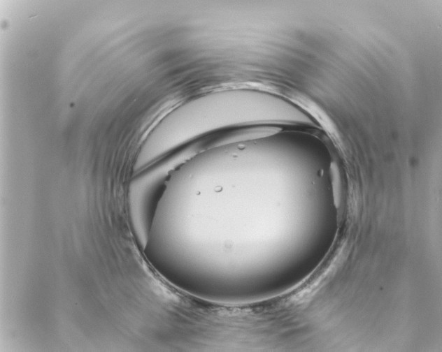 X0000088910809200706291528