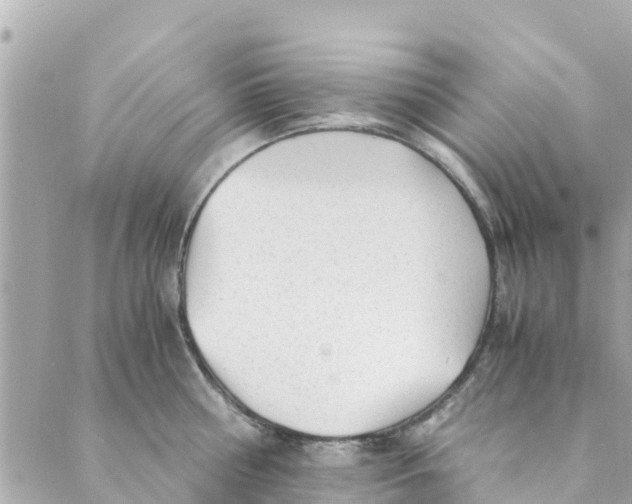 X0000088910810200706291528