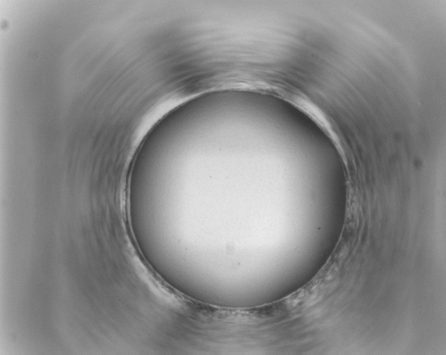 X0000088910811200706291528