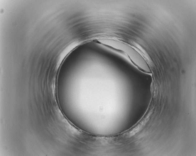 X0000088910812200706291528