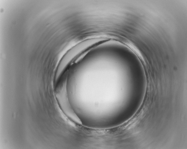 X0000088910813200706291528