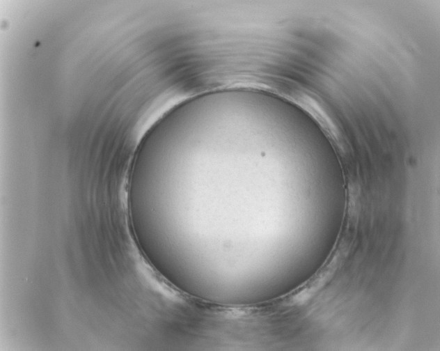 X0000088910814200706291528